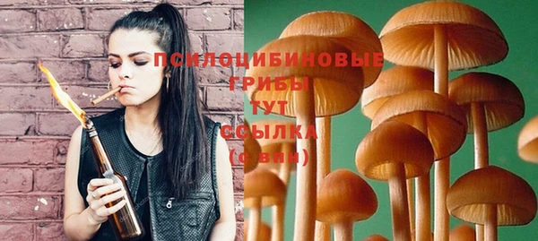 spice Дубовка